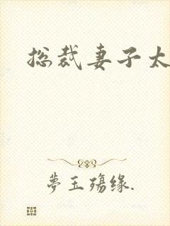 总裁妻子太诱人