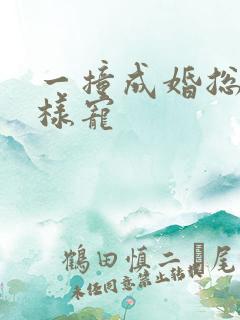 一撞成婚总裁花样宠