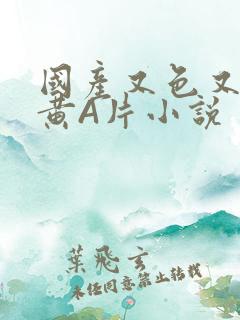 国产又色又爽又黄A片小说