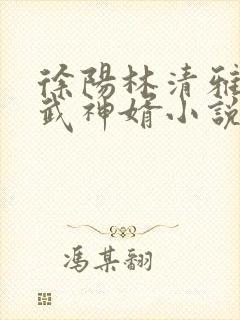 徐阳林清雅绝世武神婿小说