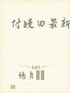 付晓田最新消息