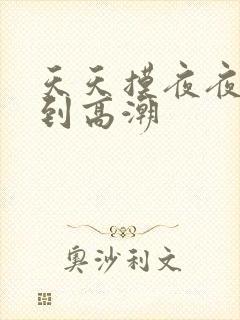 天天摸夜夜摸摸到高潮