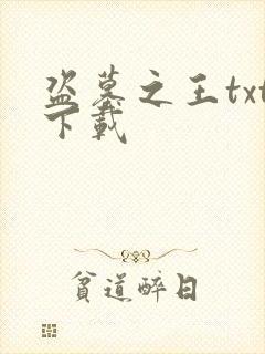 盗墓之王txt下载