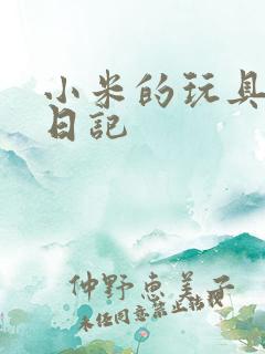 小米的玩具羞辱日记