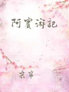 阿宾游记