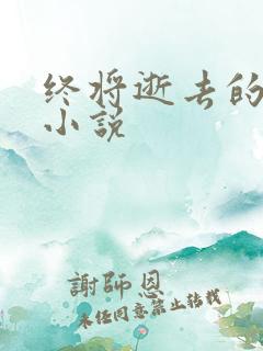 终将逝去的青春小说