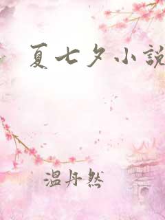 夏七夕小说