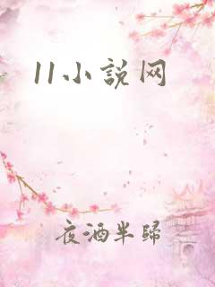 11小说网
