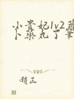 小贵妃1v2萝卜药丸了笔趣阁