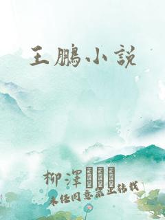 王鹏小说