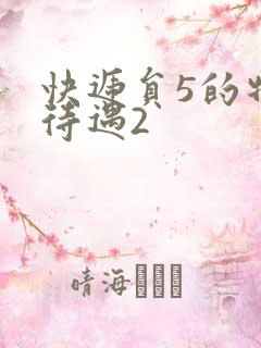 快递员5的特殊待遇2