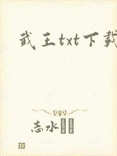 武王txt下载