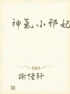 神气小邪妃