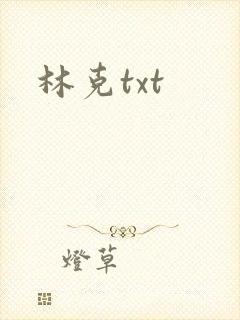 林克txt