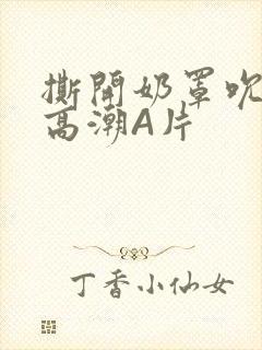 撕开奶罩吮奶头高潮A片