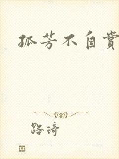 孤芳不自赏小说