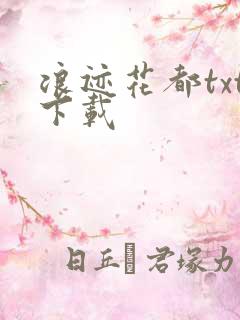 浪迹花都txt下载