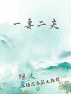 一妻二夫