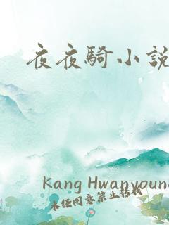 夜夜骑小说