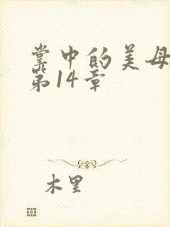 掌中的美母版主第14章