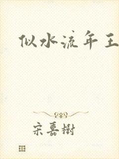 似水流年王小波