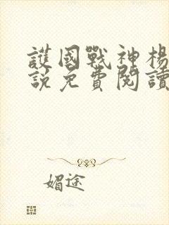 护国战神杨风小说免费阅读