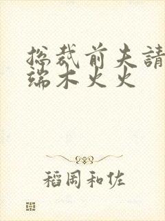 总裁前夫请自重端木火火