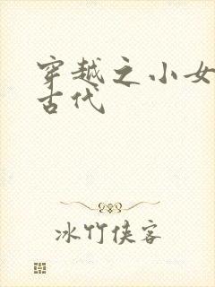 穿越之小女子闹古代