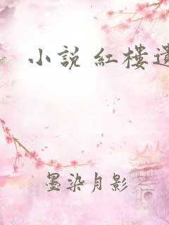 小说 红楼遗秘
