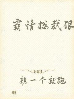 霸情总裁狠狠爱