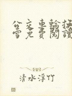 公交车轮换C程雪免费阅读