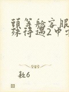 头等舱客服的特殊待遇2中字