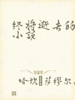 终将逝去的青春小说