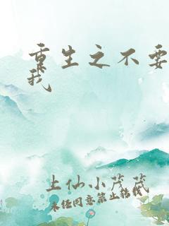 重生之不要爱上我