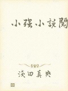 小强小说阅读网