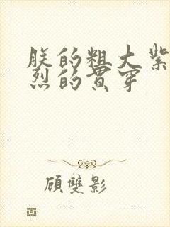 朕的粗大紫红猛烈的贯穿