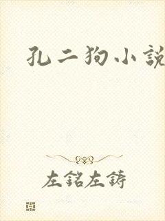 孔二狗小说