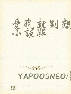 爱我就别想太多小说版