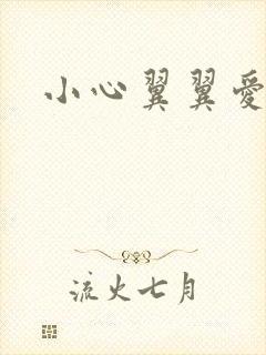 小心翼翼爱上你