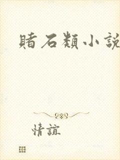 赌石类小说