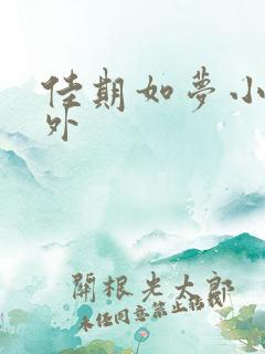 佳期如梦小说番外