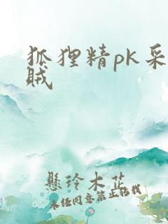 狐狸精pk采花贼