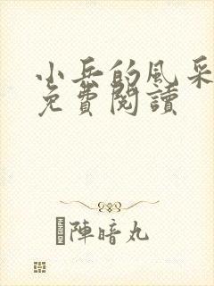 小兵的风采小说免费阅读