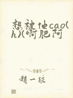 想被他cao(h)(啊肥阿