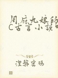 周府九娘的NPC古言小说叫什么