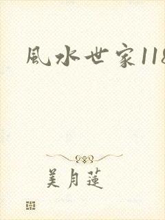 风水世家118