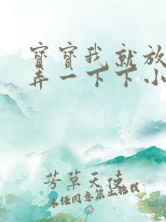 宝宝我就放进去弄一下下小说