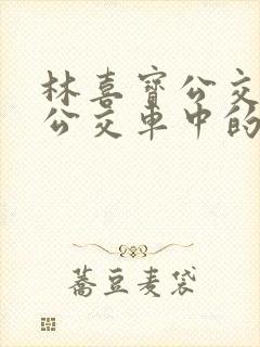 林喜宝公交车(公交车中的林喜宝)