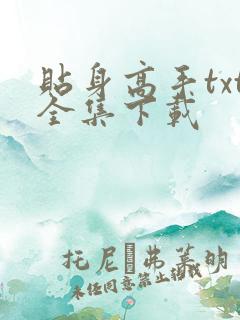 贴身高手txt全集下载