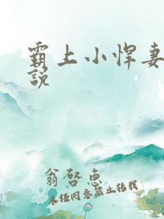 霸上小悍妻 小说